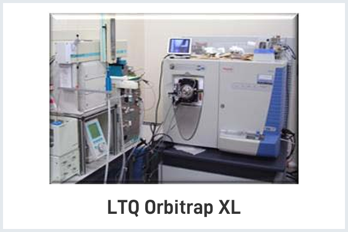 LTQ Orbitrap XL